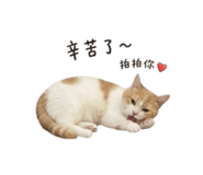 858220984