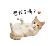 858220986