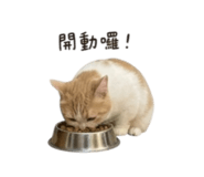 858220989