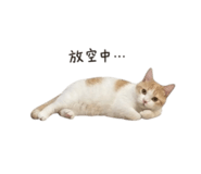 858220990