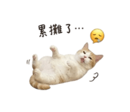 858220991