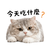 858221370