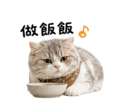 858221380