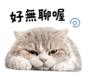 858221390