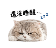 858221395