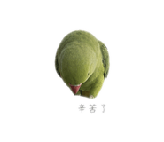 858221518