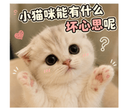 858222476