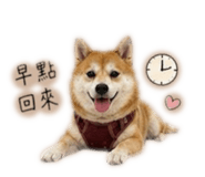 858223123