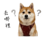 858223124