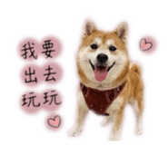 858223125