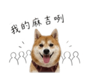 858223128