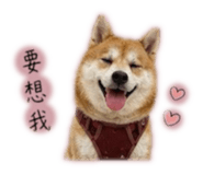858223134
