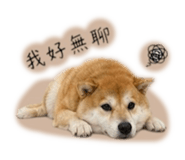 858223136