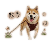 858223137