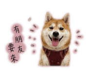 858223138