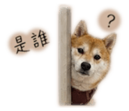 858223139