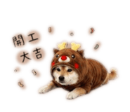 858223147