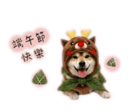 858223152
