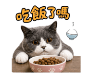 858223180