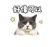 858223181