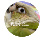 858223384