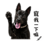 858225354