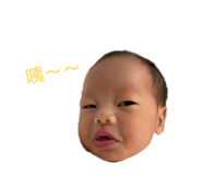 858228351