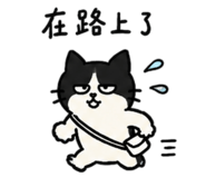 858228620