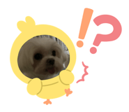 858231914