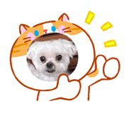 858231915