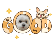 858231926
