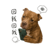 858232338