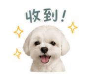 858233335