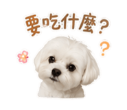 858233348