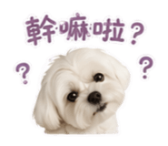 858233353