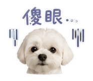 858233354