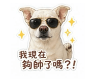 858233596