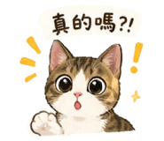 858235306