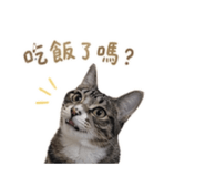 858236271