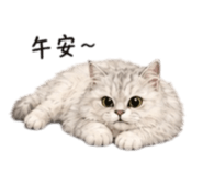 858236506