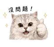 858236509