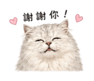 858236510