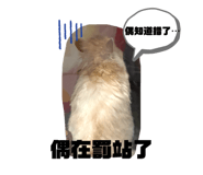 858238618
