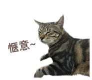 858238653