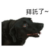 858238654