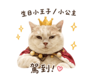 858239054