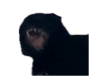 858239058