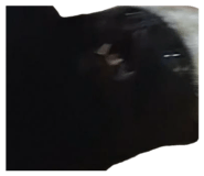 858239059