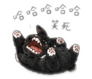 858239462