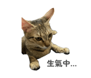 858241330